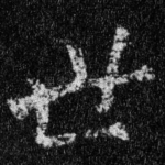 世