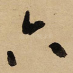 六