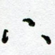 下