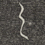 之