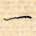 一