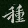 种