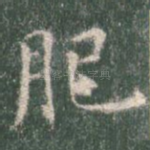 肥
