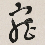 宠