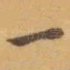 一