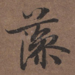 藻