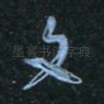 文