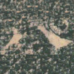 八