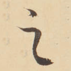 之