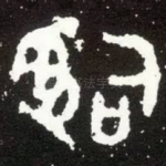 司