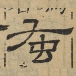 蚤