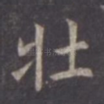 壮