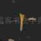 十