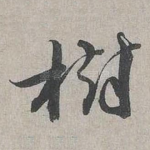 樹