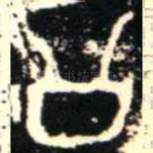 公