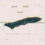 一
