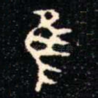 隹