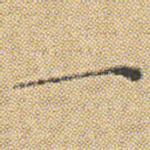 一