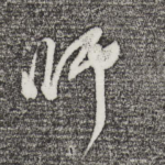 师