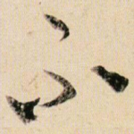 不