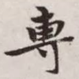专