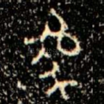 狐