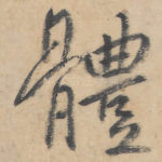 体