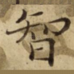智