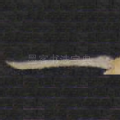 一