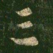三