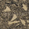 公