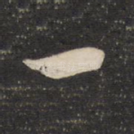 一