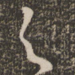 与