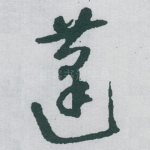 蓬