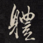 体