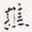 樵
