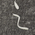 之