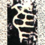 隹