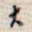 大