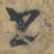 书