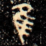 隹