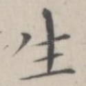 生