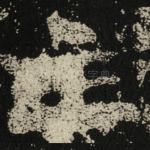 主