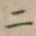 二