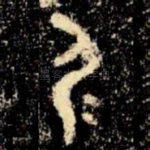尸