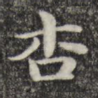 杏