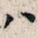 八