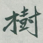 樹