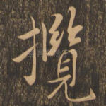 揽