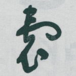 囊